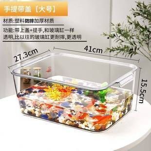 六角恐龍魚專用缸買什么（六角恐龍魚專用缸如何選擇） 六角恐龍魚專用缸買什么（六角恐龍魚專用缸如何選擇） 龍魚百科 第1張