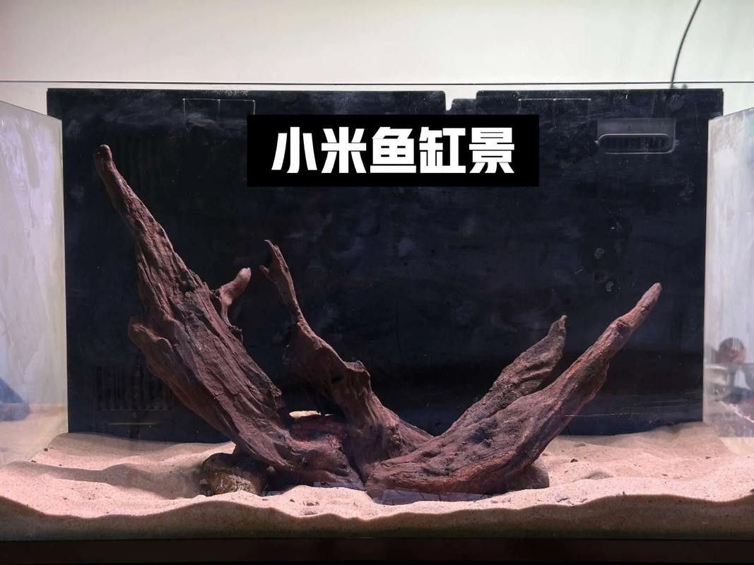 龍魚缸沉木造景圖片大全集 龍魚缸沉木造景圖片大全集 龍魚百科 第12張