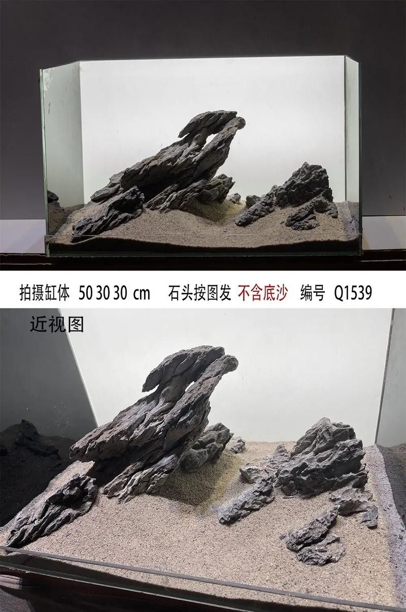 龍魚缸沉木造景圖片大全集 龍魚缸沉木造景圖片大全集 龍魚百科 第25張