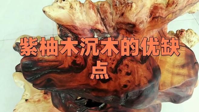 龍魚缸沉木造景圖片大全集 龍魚缸沉木造景圖片大全集 龍魚百科 第20張