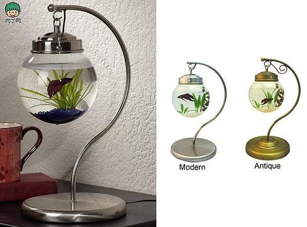 魚缸性價比最高的燈泡品牌（魚缸燈泡品牌品牌用戶評價如何延長魚缸燈泡壽命）