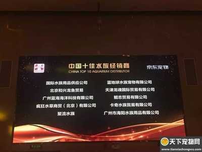 北京龍魚市場營業時間最新（北京龍魚市場周邊交通指南北京龍魚市場周邊交通指南）
