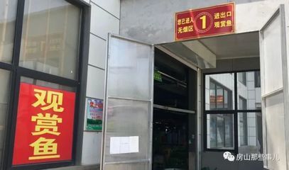 北京龍魚市場營業時間最新（北京龍魚市場周邊交通指南北京龍魚市場周邊交通指南）