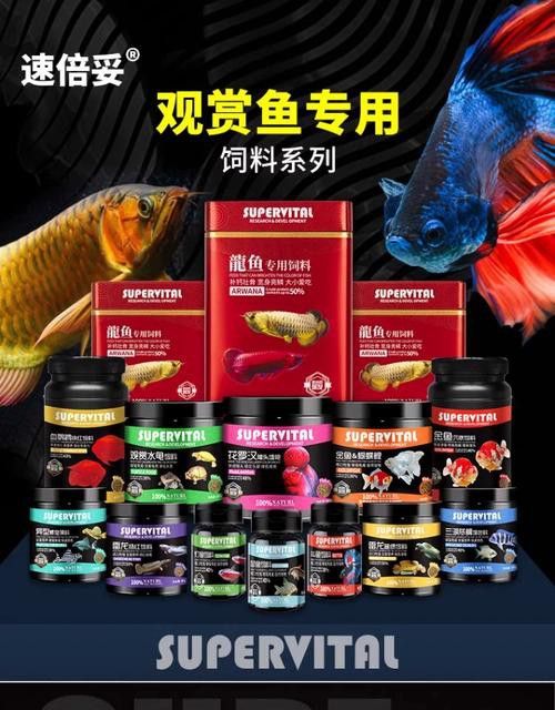 怎么讓銀龍魚魚鱗發(fā)亮