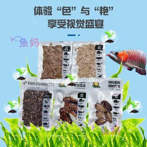 紅龍魚繁殖期飼料自制方法：紅龍魚繁殖期飼料營養搭配，紅龍魚繁殖期飼料成本分析