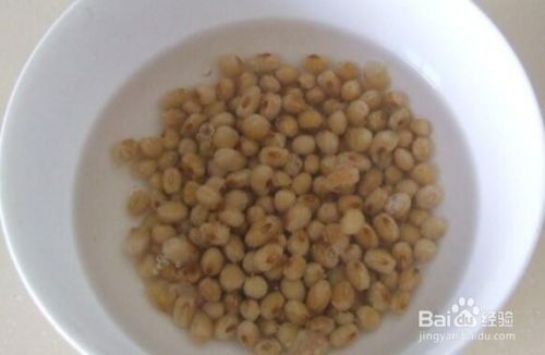 金龍魚的魚食怎么做（金龍魚活餌喂養的優缺點）