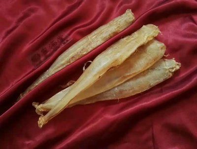 大金龍魚膠（大金龍魚膠品種之金龍魚魚膠品種之金龍魚膠）