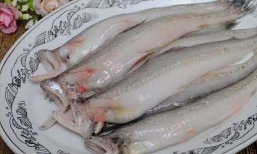 龍魚的營養(yǎng)價值及功效：龍魚與鱸魚營養(yǎng)對比,龍魚適宜哪些人群食用,如何挑選新鮮龍魚