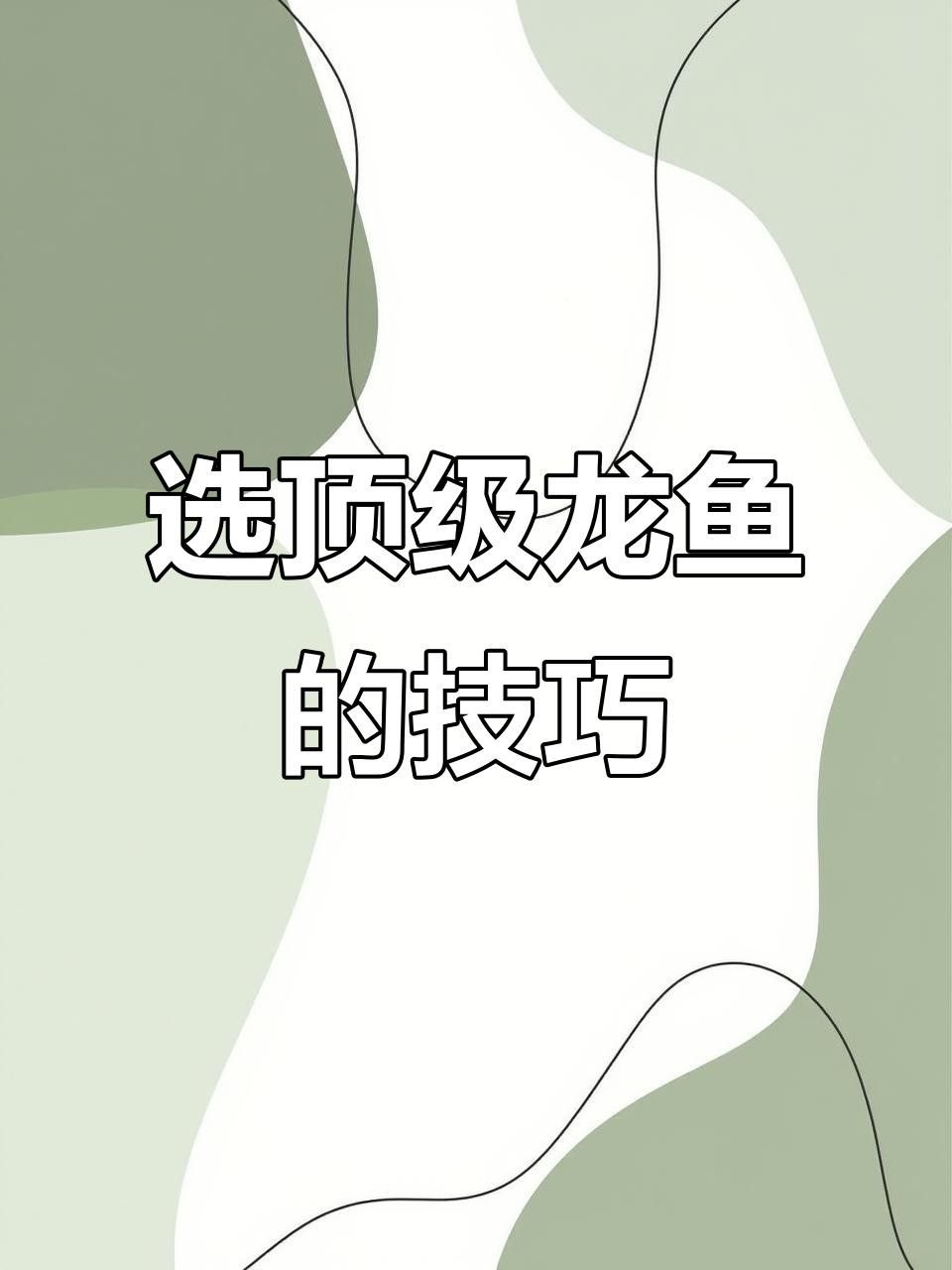如何挑選高品質的龍魚和錦鯉？