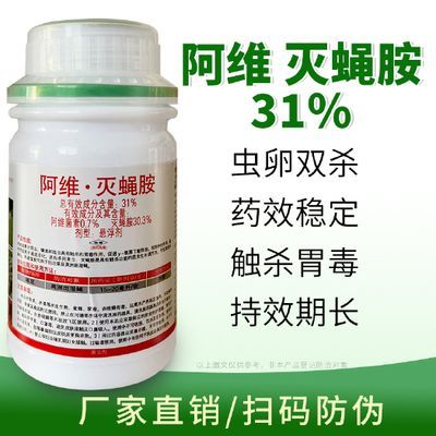 龍魚用什么藥殺蟲最好（龍魚專用驅蟲藥效果對比）