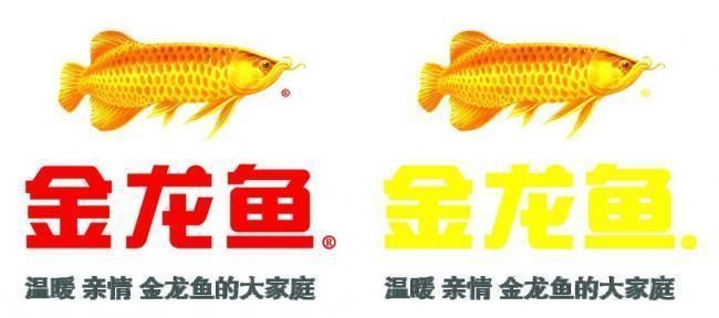金龍魚(yú)比賽廣告圖片：金龍魚(yú)品牌文化介紹：金龍魚(yú)比賽廣告圖片獲取渠道 金龍魚(yú)比賽廣告圖片：金龍魚(yú)品牌文化介紹：金龍魚(yú)比賽廣告圖片獲取渠道 龍魚(yú)百科 第2張