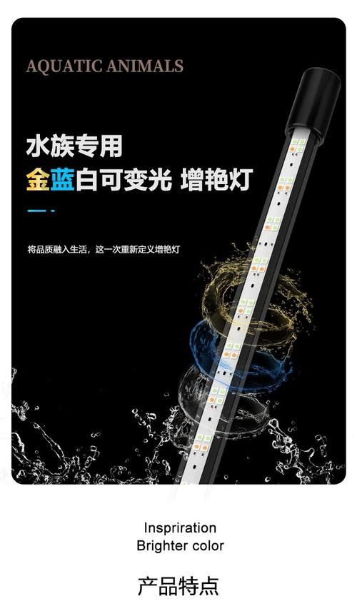 龍魚燈光擺放位置圖解大全圖 龍魚燈光擺放位置圖解大全圖 龍魚百科 第34張