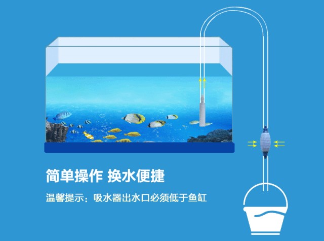 1.5米魚缸多久換水好，1.5米魚缸換水頻率建議新魚入缸水質(zhì)管理技巧
