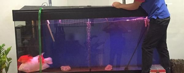 1.5米魚缸多久換水好，1.5米魚缸換水頻率建議新魚入缸水質(zhì)管理技巧