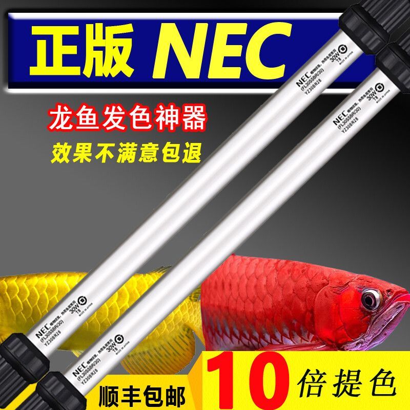金龍魚要什么燈光才發(fā)色好：金龍魚的發(fā)色與燈光的選擇密切相關密切相關的建議 金龍魚要什么燈光才發(fā)色好：金龍魚的發(fā)色與燈光的選擇密切相關密切相關的建議 龍魚百科 第1張