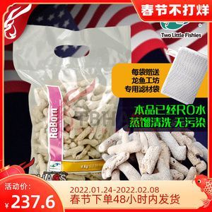 養龍魚可以放珊瑚骨嗎： 養龍魚可以放珊瑚骨嗎： 龍魚百科 第2張