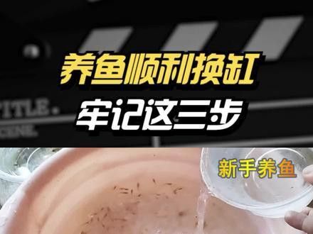 金龍魚換缸的正確方法