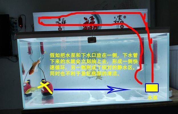 魚缸過濾器進出水口位置（如何合理布置魚缸過濾器進出水口）