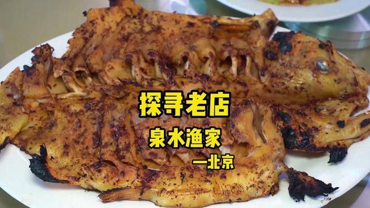 如何飼養紅色龍魚