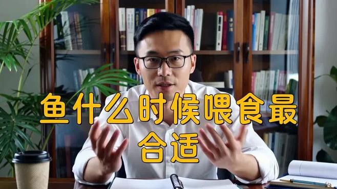 紅金龍魚什么時候喂食最好？ 紅金龍魚什么時候喂食最好？ 龍魚百科 第1張