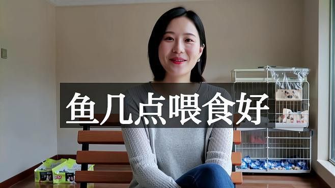 紅金龍魚什么時候喂食最好？ 紅金龍魚什么時候喂食最好？ 龍魚百科 第2張