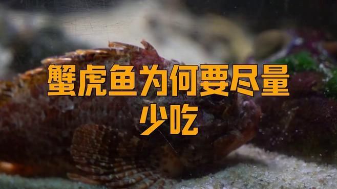 老虎魚為何要盡量少吃