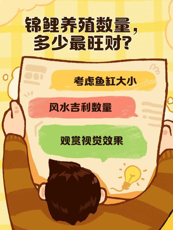 錦鯉養幾條最好最旺