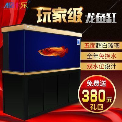 龍魚缸水位多高合適(龍魚缸水位高度一般推薦控制在30到50厘米之間) 龍魚百科 第5張 龍魚缸水位多高合適(龍魚缸水位高度一般推薦控制在30到50厘米之間) 龍魚缸水位多高合適(龍魚缸水位高度一般推薦控制在30到50厘米之間) 龍魚百科 第5張