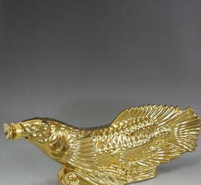 金龍魚三斤重的多少錢一條【金頭過背金龍魚、過背金龍魚、過背金龍魚、過背金龍魚】