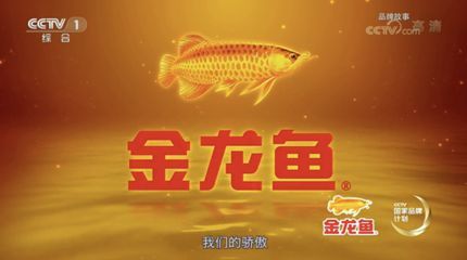 金龍魚魚類的來歷和傳說故事：關于金龍魚的來歷和傳說故事