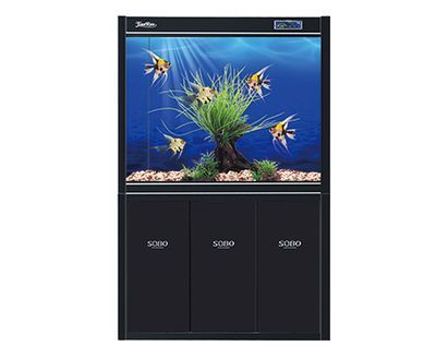 龍魚缸上濾：關于龍魚缸上濾系統的詳細信息