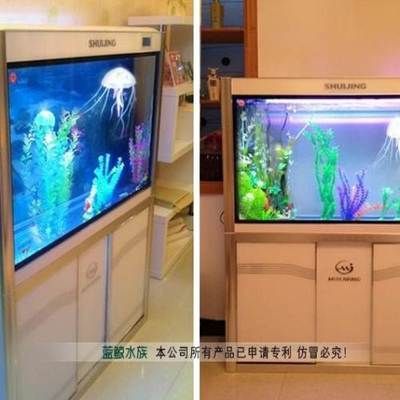 龍魚缸上濾：關于龍魚缸上濾系統的詳細信息