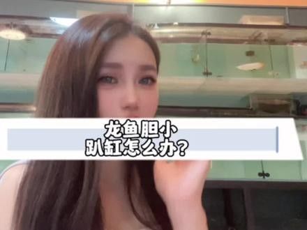 龍魚的正確飼養(yǎng)方法視頻播放
