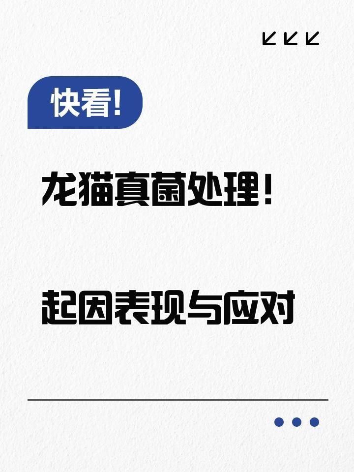 龍貓真菌感染會自愈嗎？