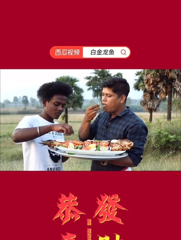 哪些因素會(huì)影響白金龍魚(yú)的價(jià)格？