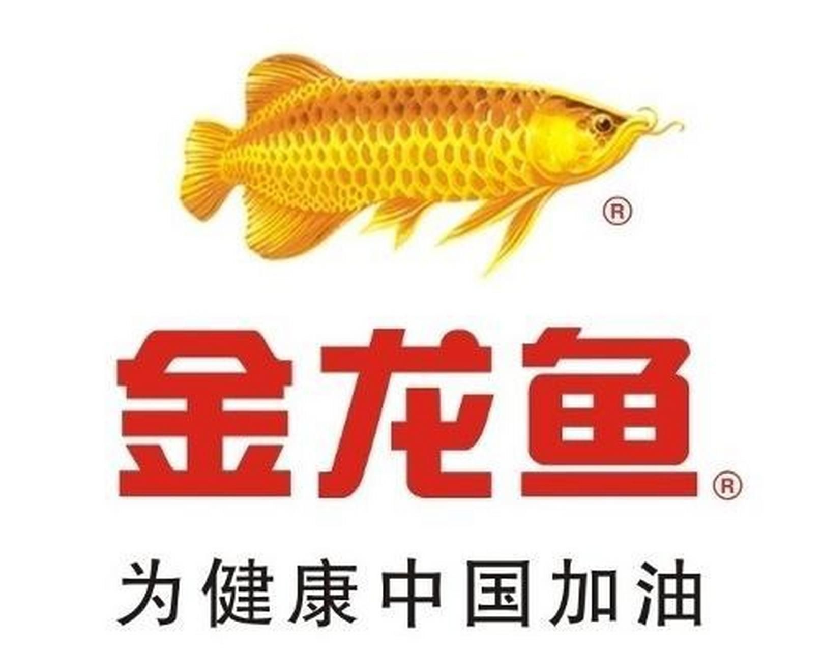 金龍魚業(yè)務代表（上海金龍魚業(yè)務代表） 金龍魚業(yè)務代表（上海金龍魚業(yè)務代表） 龍魚百科 第4張