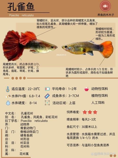 孔雀魚大全名帶圖 孔雀魚大全名帶圖 龍魚百科 第11張
