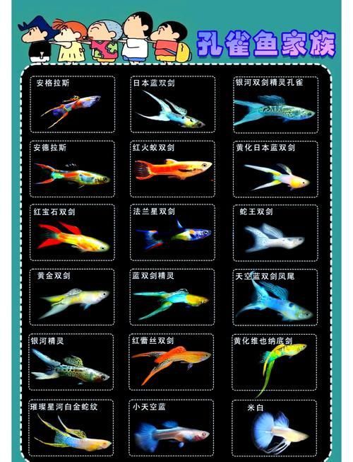 孔雀魚大全名帶圖 孔雀魚大全名帶圖 龍魚百科 第14張