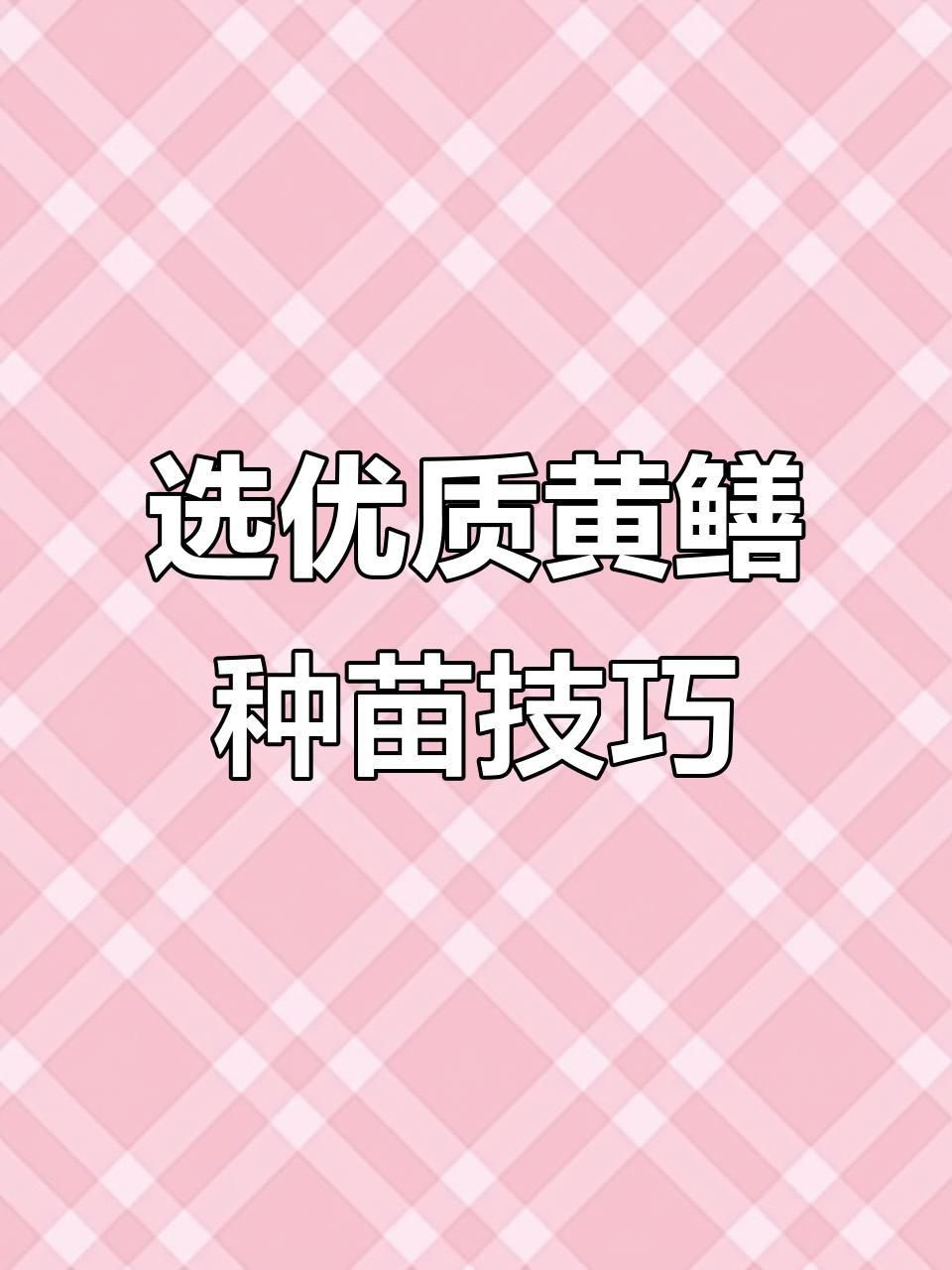 黃鱔苗種選擇標準