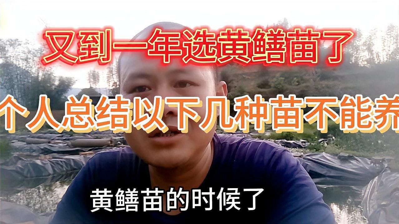 黃鱔苗種選擇標準