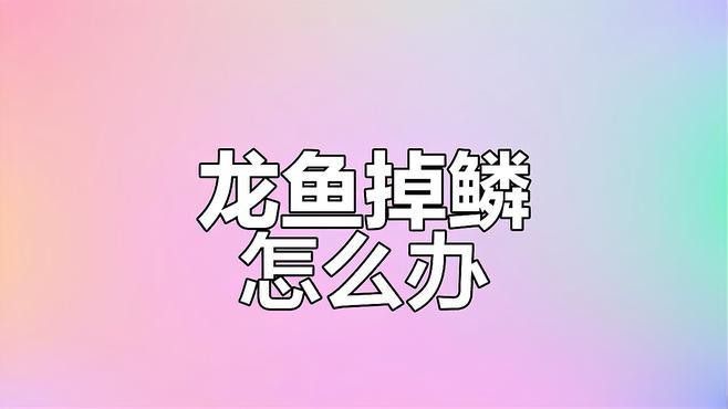 龍魚掉鱗后多久會恢復？