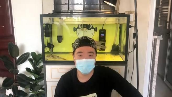 金魚有哪些品種