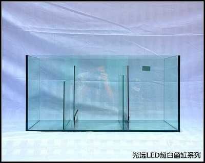 飼養(yǎng)金龍魚需要加海鹽嗎：金龍魚飼養(yǎng)是否需要加海鹽？