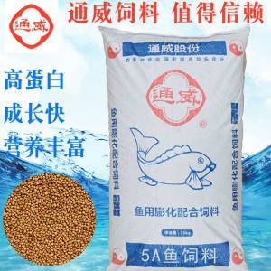 雪龍魚飼料配方優化研究：如何優化雪龍魚飼料配方提高其營養價值和飼養效果