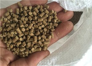 雪龍魚飼料配方優化研究：如何優化雪龍魚飼料配方提高其營養價值和飼養效果