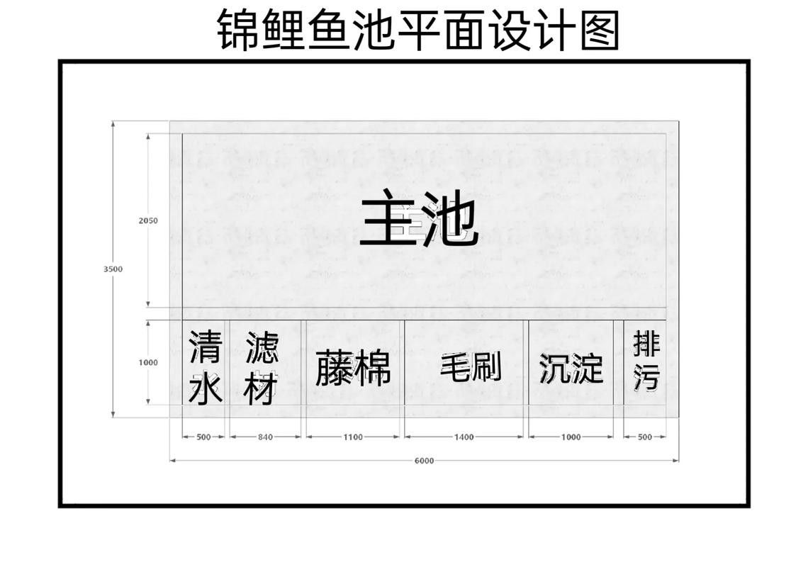 新手養(yǎng)錦鯉需要注意什么？ 新手養(yǎng)錦鯉需要注意什么？ 龍魚百科 第10張