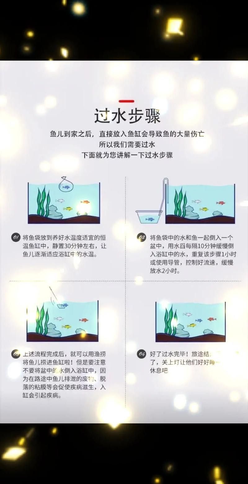 新手養(yǎng)錦鯉需要注意什么？ 新手養(yǎng)錦鯉需要注意什么？ 龍魚百科 第12張