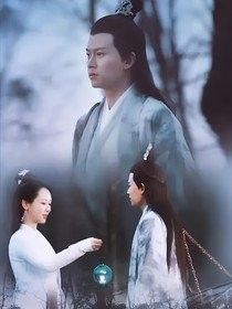 龍生謝芳琪小說有續集嗎？