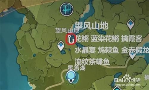 龍魚哪里有釣：南方河流釣龍魚技巧分享龍魚釣魚技巧分享 龍魚哪里有釣：南方河流釣龍魚技巧分享龍魚釣魚技巧分享 龍魚百科 第4張