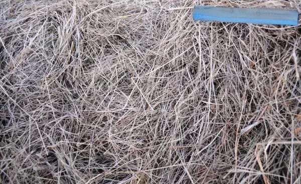 龍貓籠子清洗時需要注意什么？